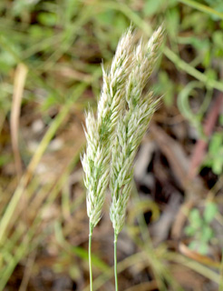 אזור קיסריה, 29-4-2011. צילום: © דרור מלמד