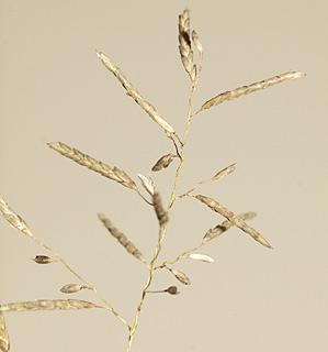  באי תנועה בכביש גהה, 6-2011. צילום: © דרור מלמד