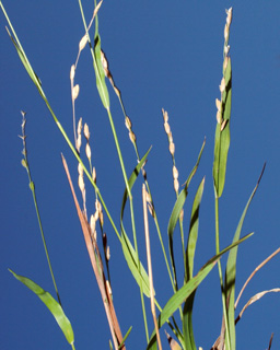 תל אביב, 2011. צילום: © דרור מלמד