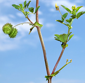 3-2012. צילום: © דרור מלמד