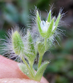 הר קטע, 3-2012. צילום: © עירית צוק קובצ'י