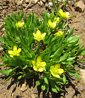 עמק בולען חרמון, 5-2012. צילום: © איתן שפירא