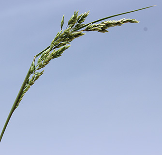 מצפה חגי, 3-2018. צילום: © איתן שפירא