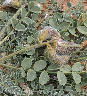 אזור עובדה, 12-1-2013. צילום: © מורי חן