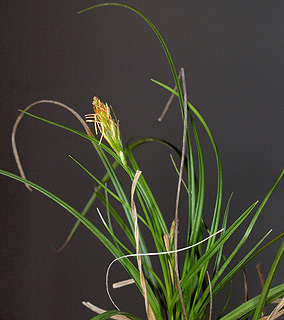 הר הטייסים, 22-2-2013, צילום: © דרור מלמד