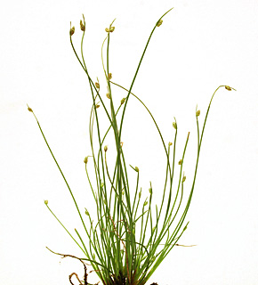 בריכת סמר חדרה, 5-2013. צילום: © דרור מלמד