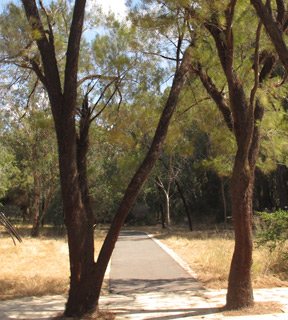  צילום: © שרה גולד