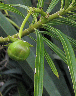 3-2014, צילום: © עמרם אשל