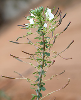 גבול צהלה תל-אביב, 10-2007. צילום: © דרור מלמד