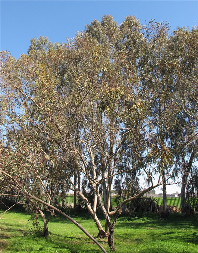מראה כללי. צילום: שרה גולד