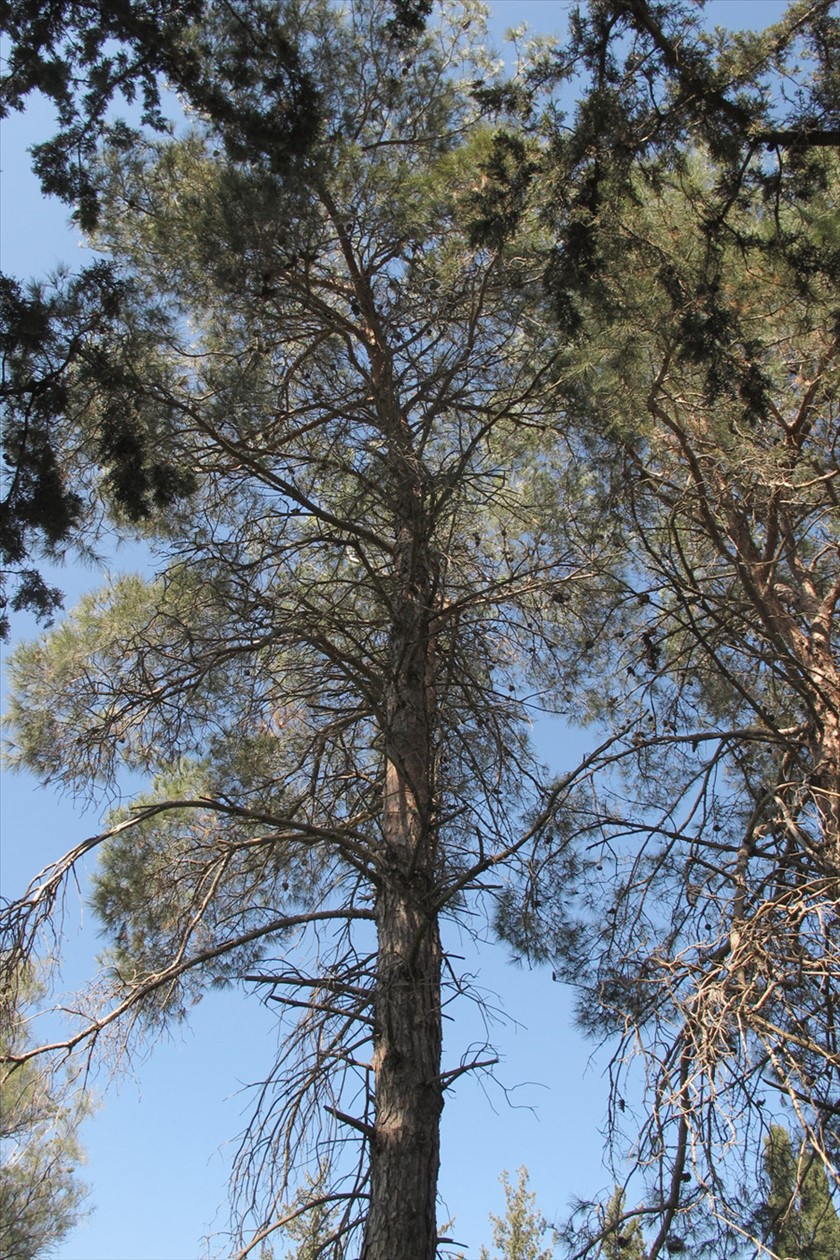 מראה כללי. צילום: שרה גולד
