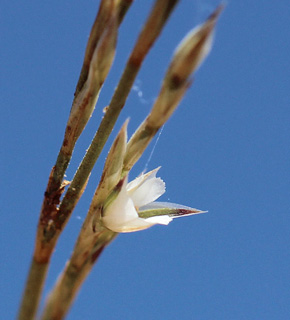 חרמון. צילום: © איתן שפירא