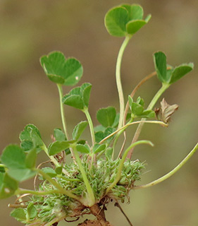 מאגר דלתון, 4-2015. צילום: © שרה גולד