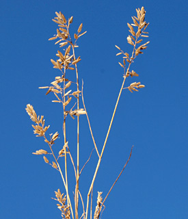 מאגר שיקוע נחלי מנשה, 8-2012. צילום: © דרור מלמד