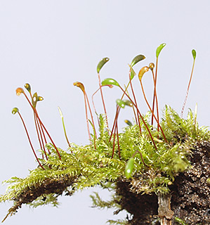 תל אביב, 2-2016. צילום: © דרור מלמד