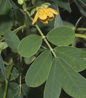 אזור חיפה. צילום: © יהודה מרטה