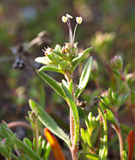 פברואר. צילום: © דרור מלמד