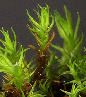 מושב עשרת, 1-2022. צילום: © דרור מלמד