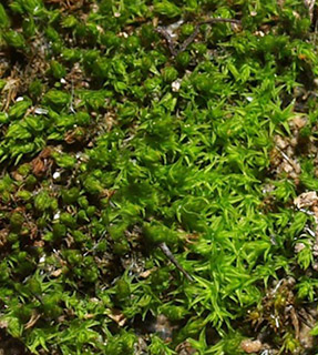 עין פרת, 2-2022. צילום: © דרור מלמד