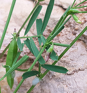 הר הרוח, 4-2022. צילום: © איתן שפירא