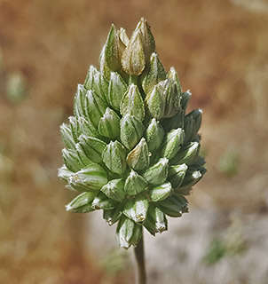 קרית ארבע, 5-2022. צילום: © איתן שפירא