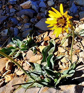 עמק בולען - חרמון , 19.6.2023. צילום: © איתן שפירא