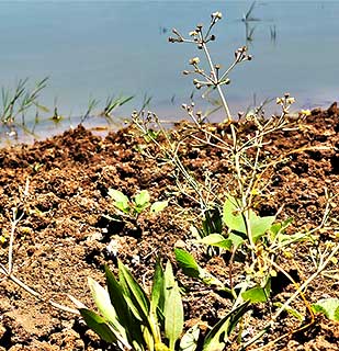 מאגר קונטרה , 6-2023 צילום: © איתן שפירא