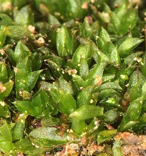 
שדה בוקר, 2-2024. צילום: © דרור מלמד