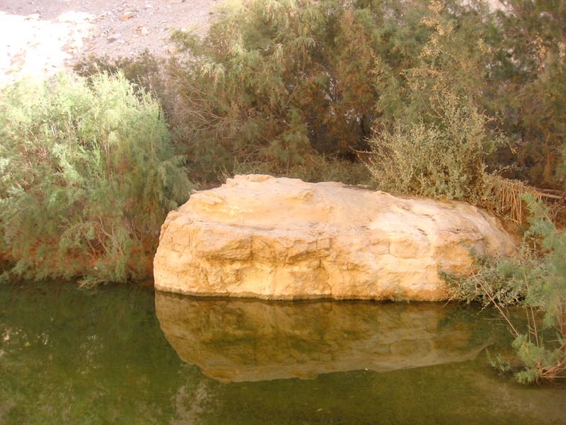 מראה כללי בעין עבדת. צילום: שרה גולד