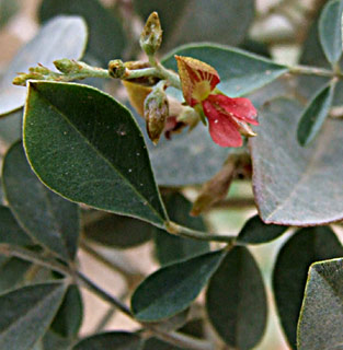 הכניסה לנחל ערוגות, פברואר. צילום: © שרה גולד