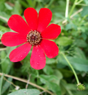 שוהם, 3-08. צילום: © שרה גולד