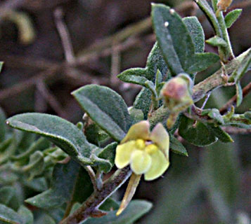 צילום: © שרה גולד