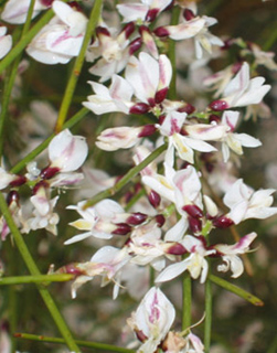 פברואר. צילום: © שרה גולד