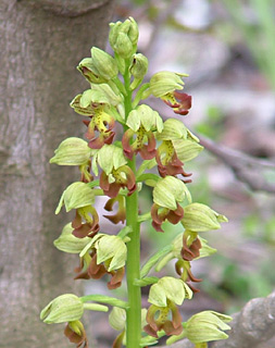 צומת חניתה. צילום: © יואב גרטמן