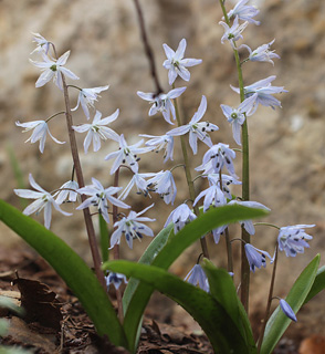 חרמון, 3-2014. צילום: © איתן שפירא