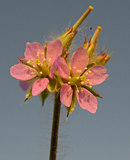 צילום: © מורי חן