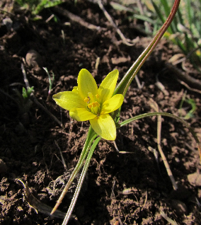 צילום: שמואל מזר