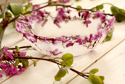 פרחי כליל החורש