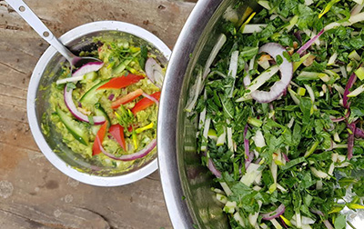 ויניגרט סרפדים לסלט כרפס הביצות