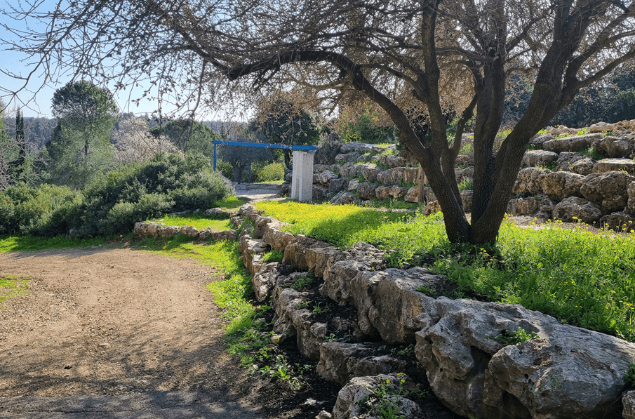 צילום: עדי טנא נתן