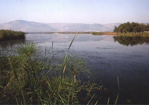 צילום: ארכיון הצילום של קקל